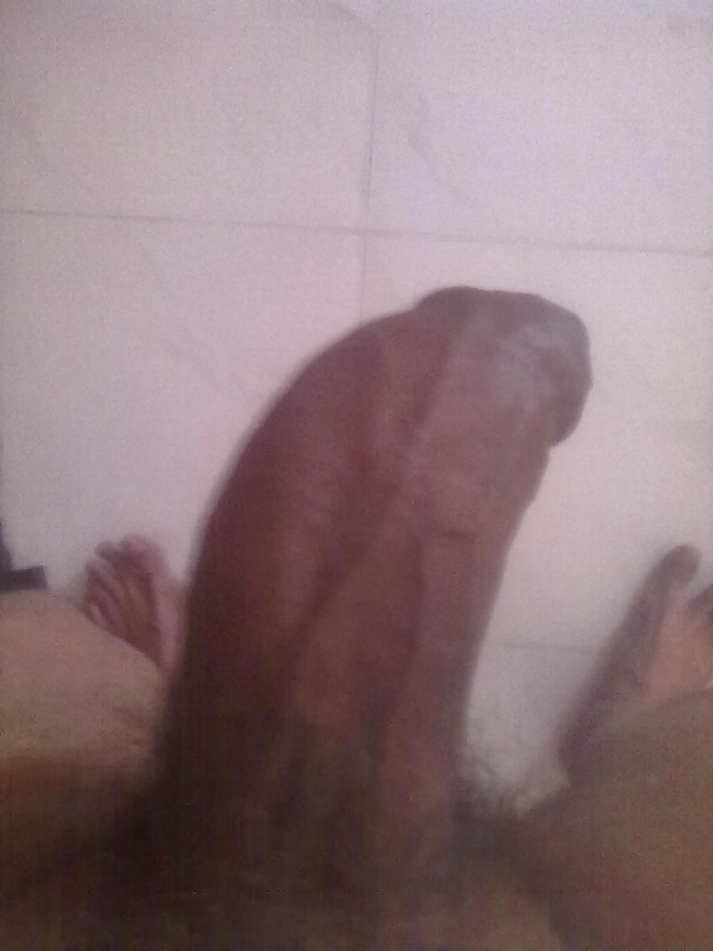 Indian cock #8906254