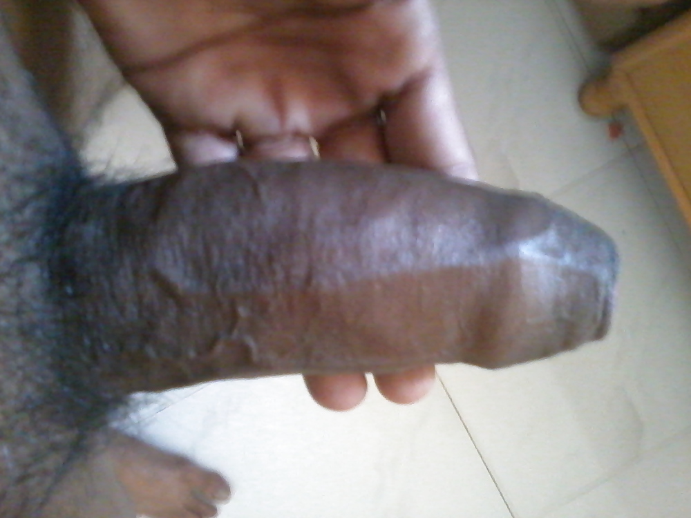 Indian cock #8906298