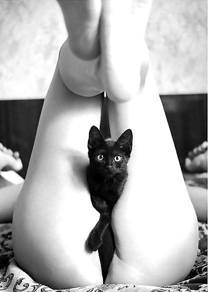 Black and White. #15695029