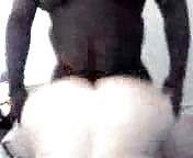 SEXCAPADES
 #16291391