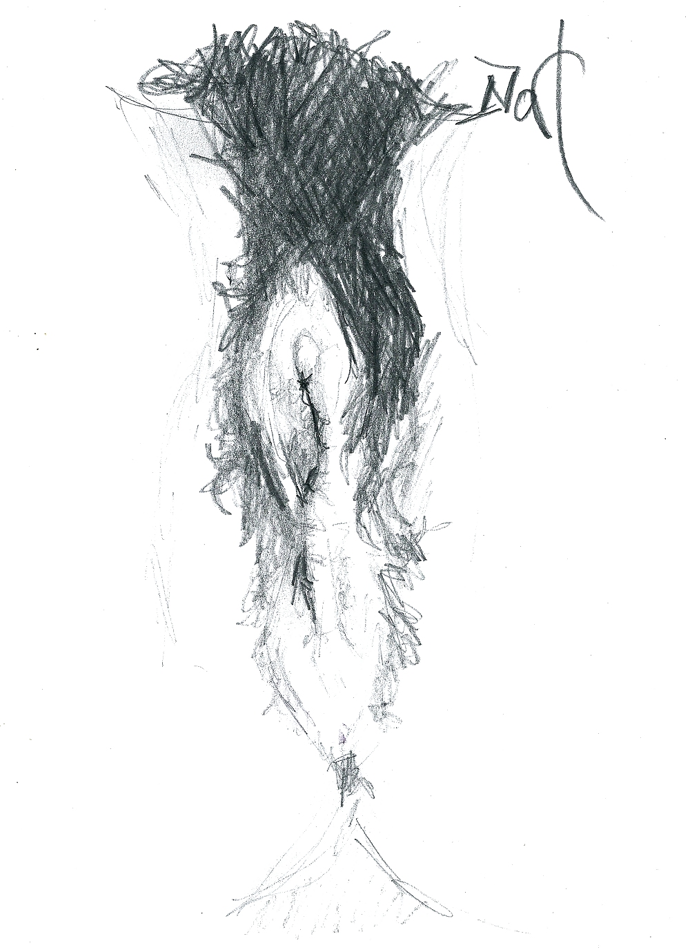 Proyecto de dibujo de mi coño
 #10302145