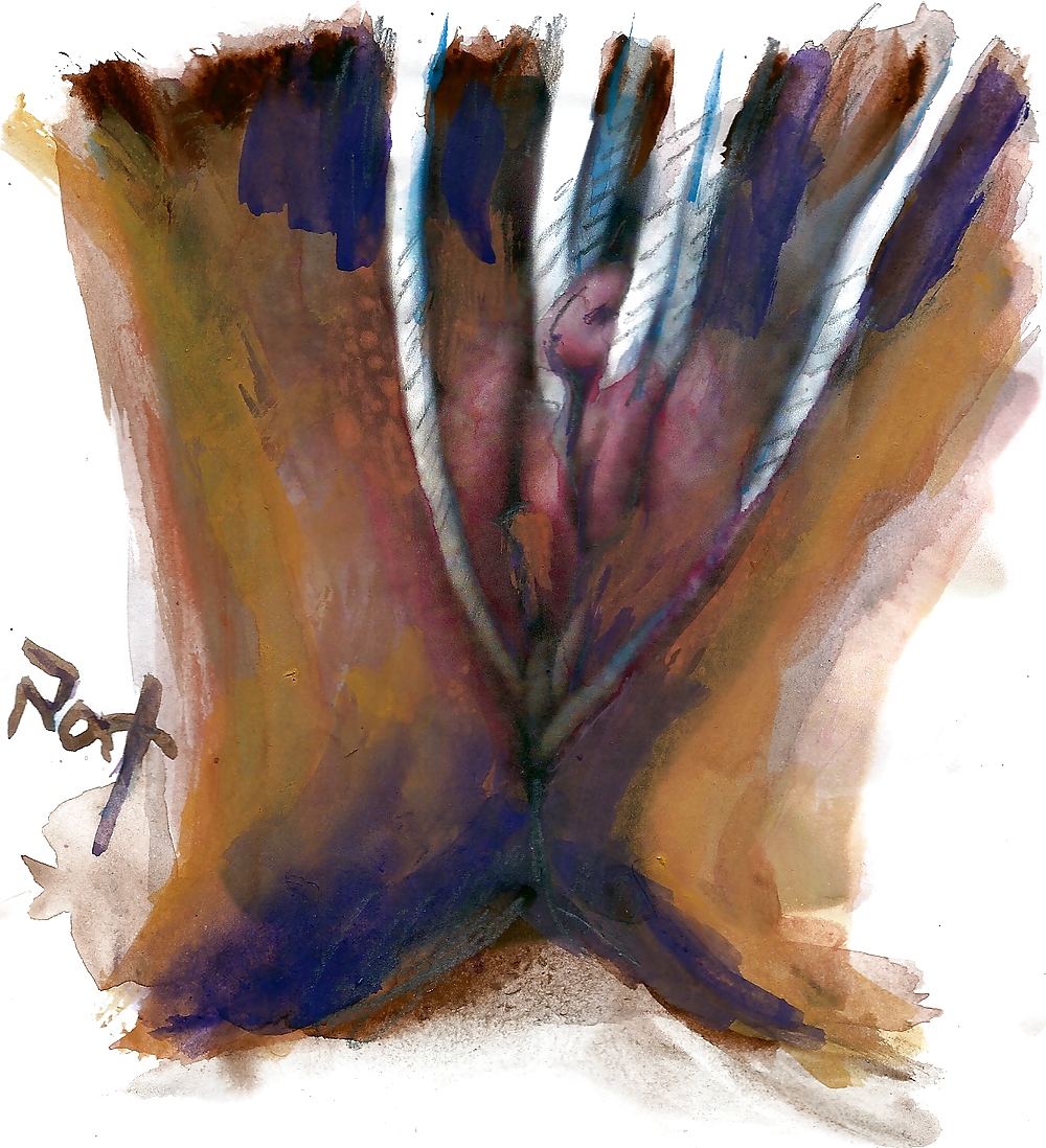 Proyecto de dibujo de mi coño
 #10302269
