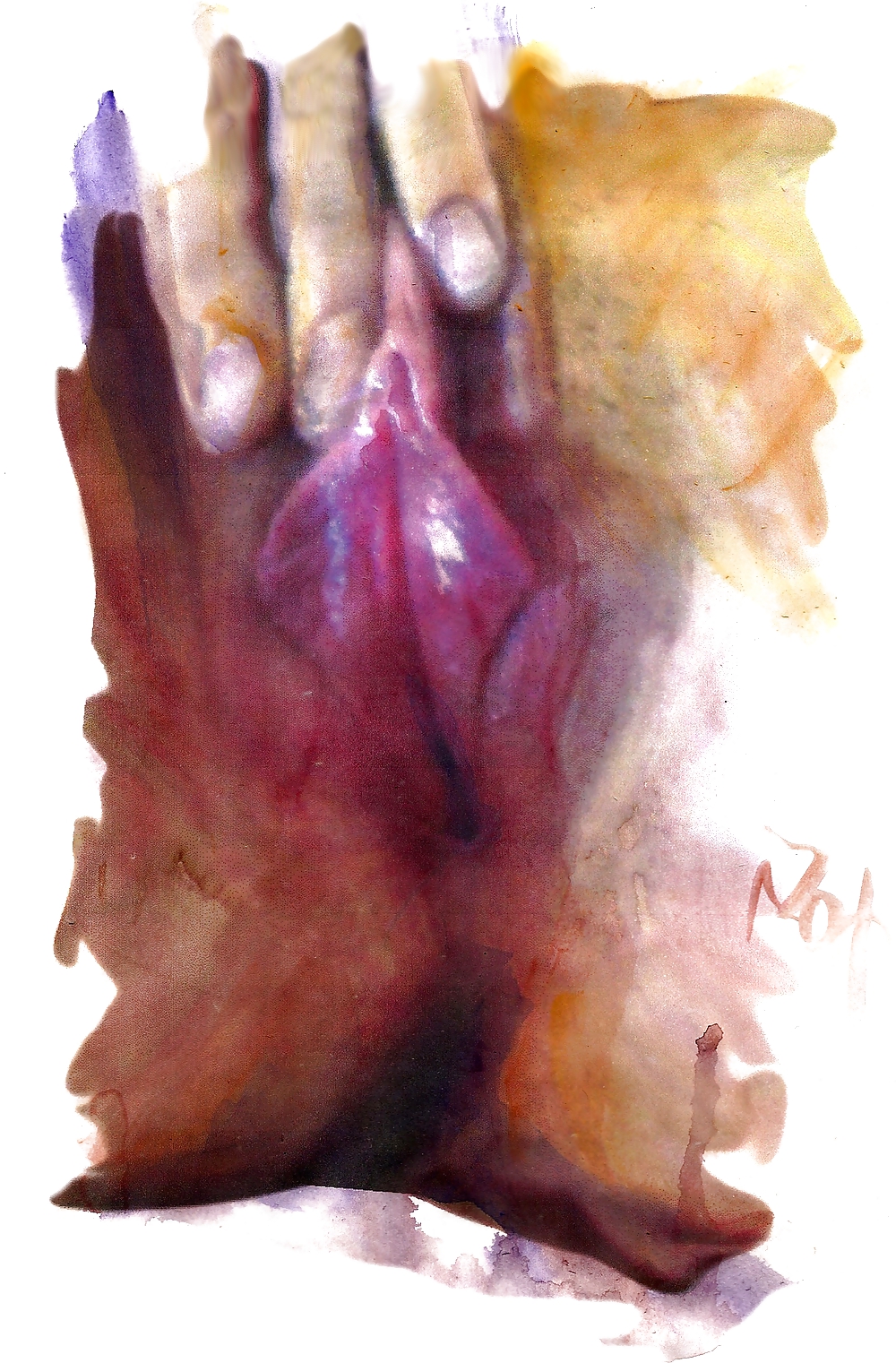 Proyecto de dibujo de mi coño
 #10302289