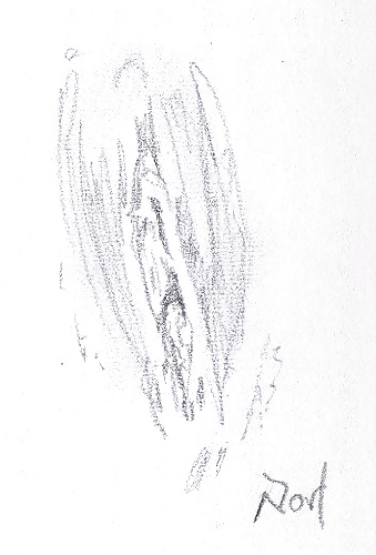 Proyecto de dibujo de mi coño
 #10302347