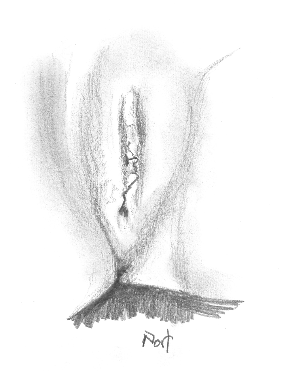 Proyecto de dibujo de mi coño
 #10302490