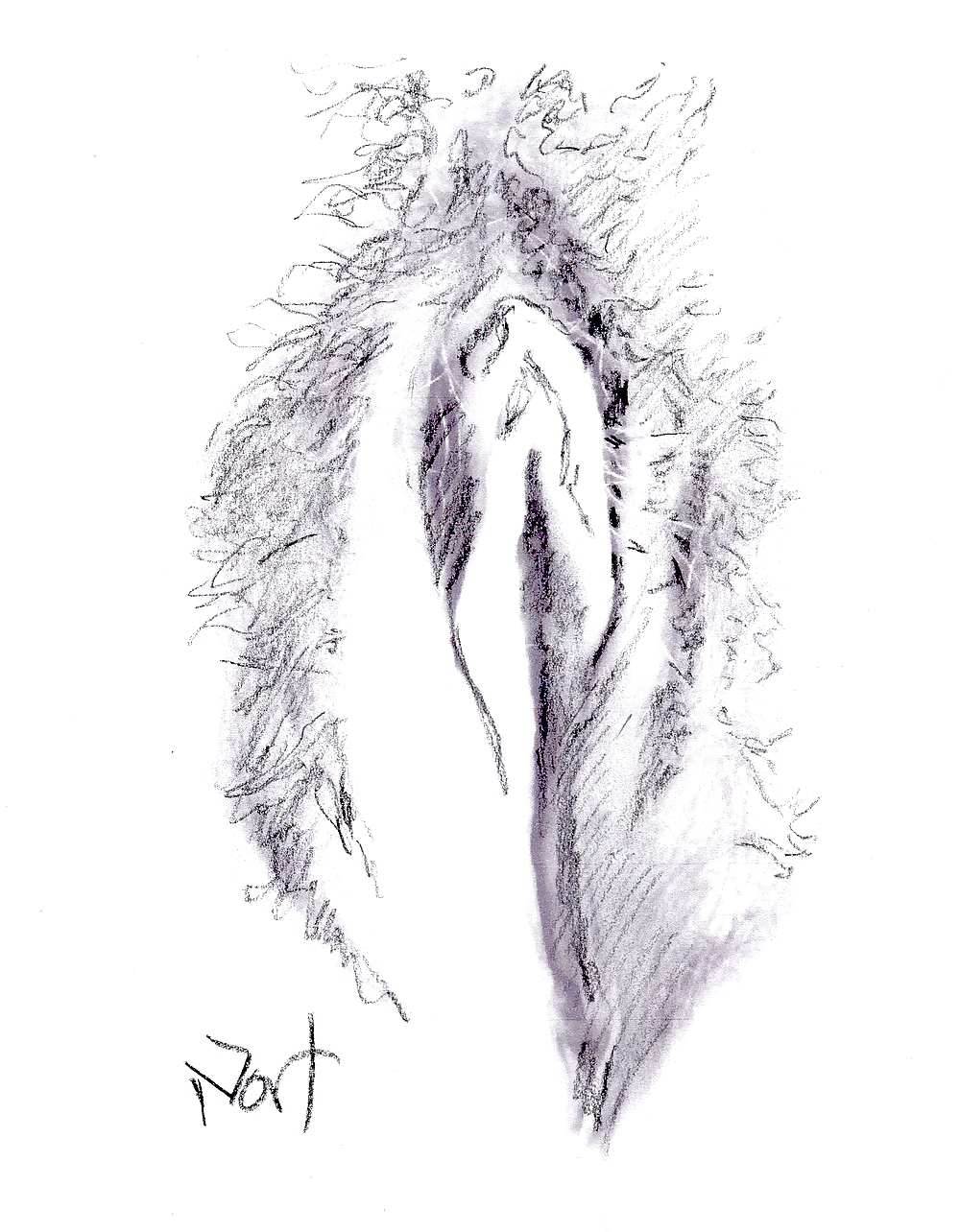 Proyecto de dibujo de mi coño
 #10302567