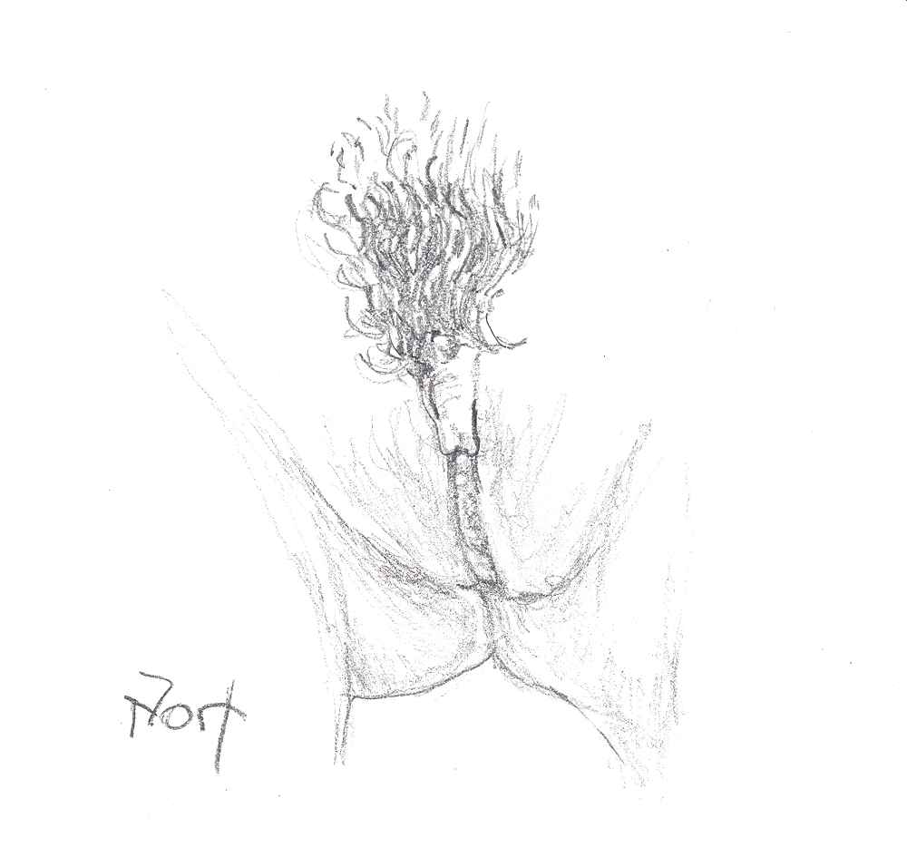 Proyecto de dibujo de mi coño
 #10302581