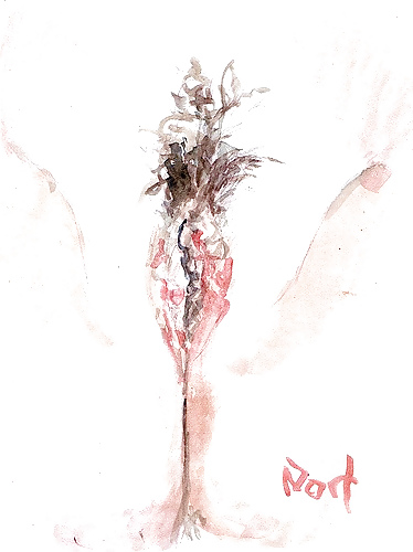 Proyecto de dibujo de mi coño
 #10302712