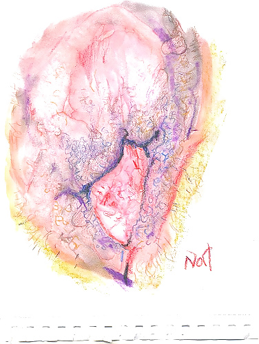 Proyecto de dibujo de mi coño
 #10302752