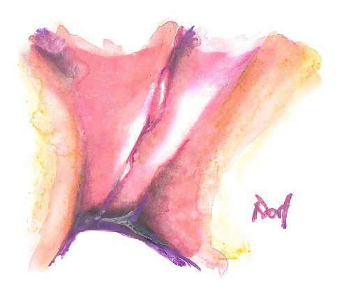 Proyecto de dibujo de mi coño
 #10302756