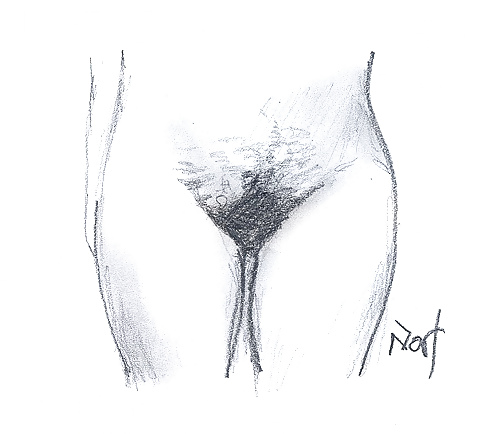 Sketch my Pussy Project #10302762