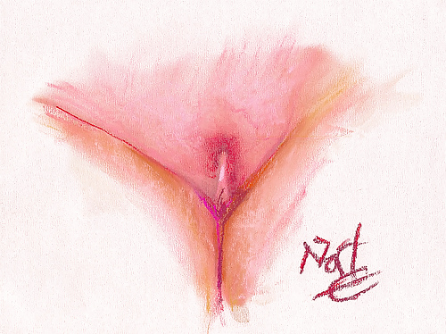 Proyecto de dibujo de mi coño
 #10302849