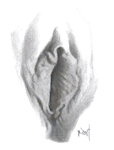 Proyecto de dibujo de mi coño
 #10302853