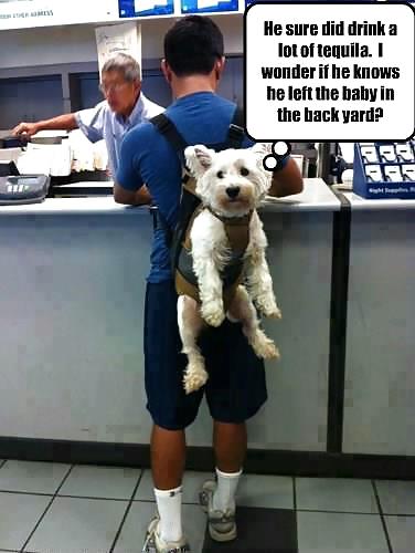 Randoms como siempre
 #13585957