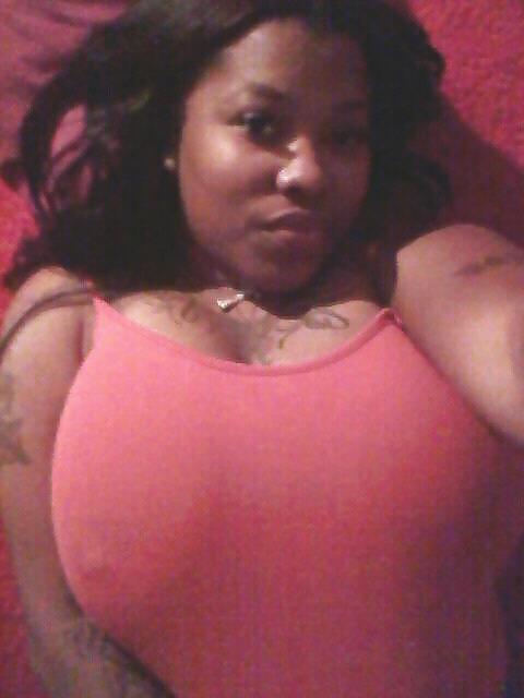 Rack city
 #12839902