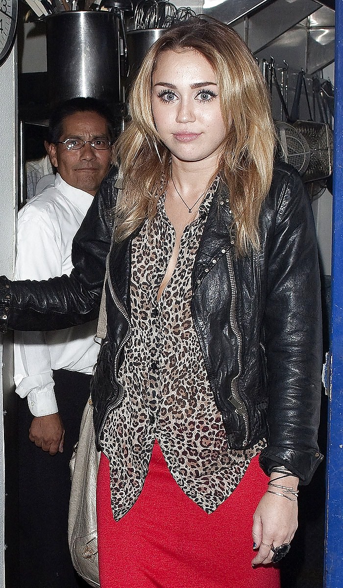 Miley Cyrus Mega Collection 3 #8793342