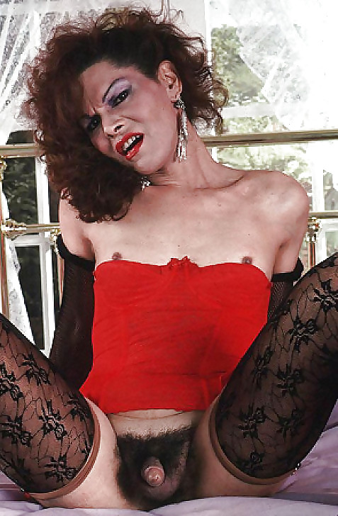 DERLEMELER2 #9448959