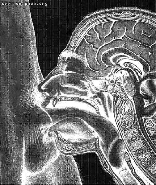 Reife Bekanntschaften #9400388