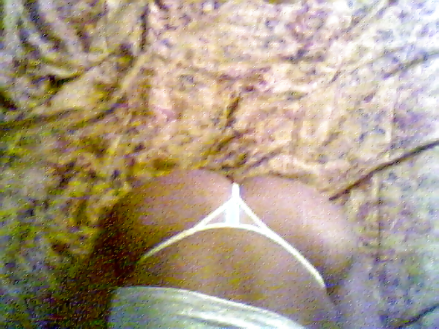 私の写真
 #10780009