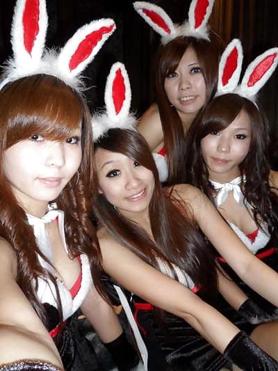 Taiwan bunny girl
 #2692438