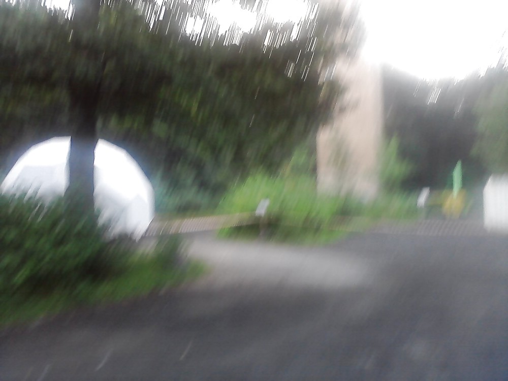 Dixitoilette #9628704