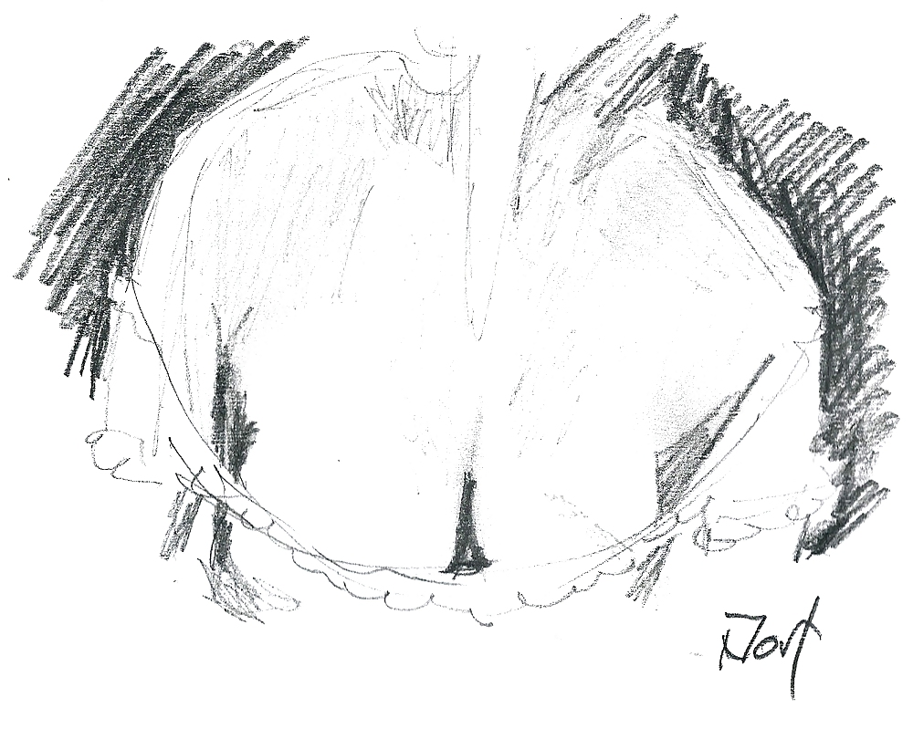 Sketches from webcams #13113129