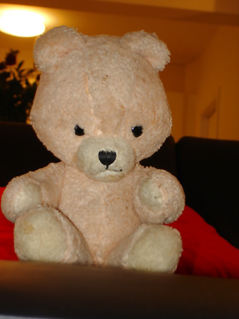 Sarah-DeHerdt 7 #2499754