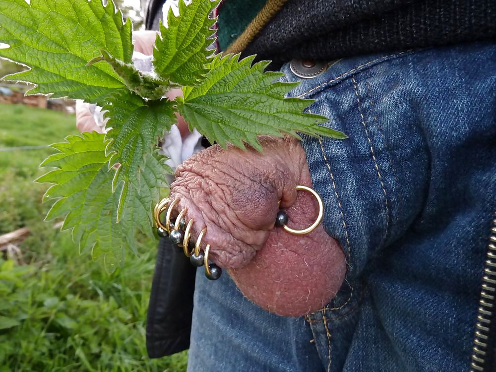 Piercings
 #10298127