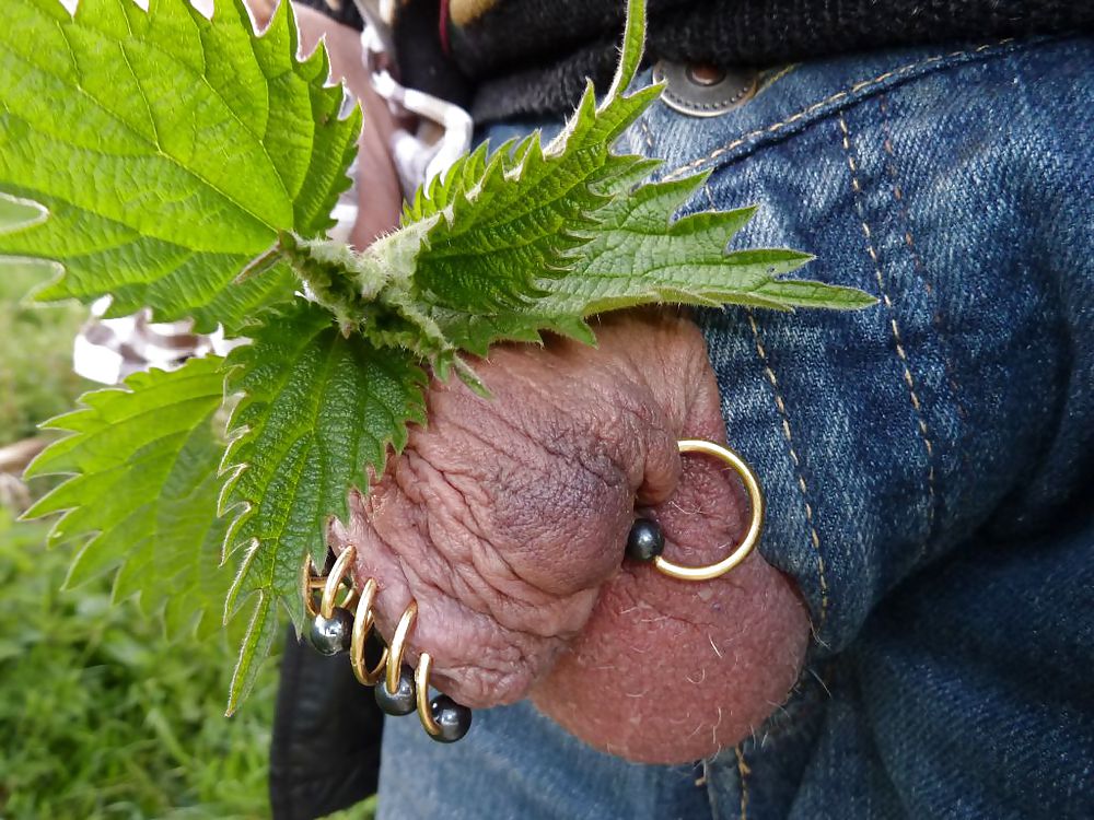 Piercings
 #10298162