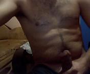 ディック06
 #6577226