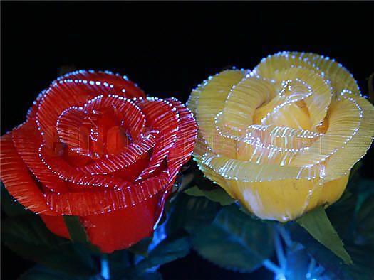 Roses #4438944