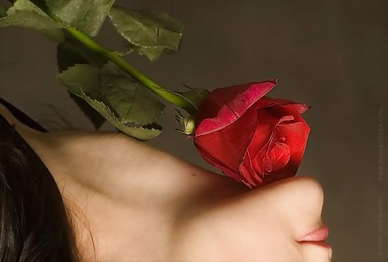 Roses #4438947