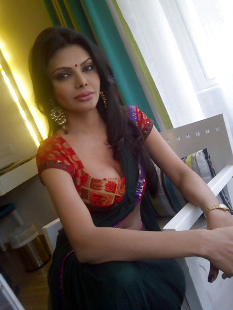 Sherlyn chopra #13169309