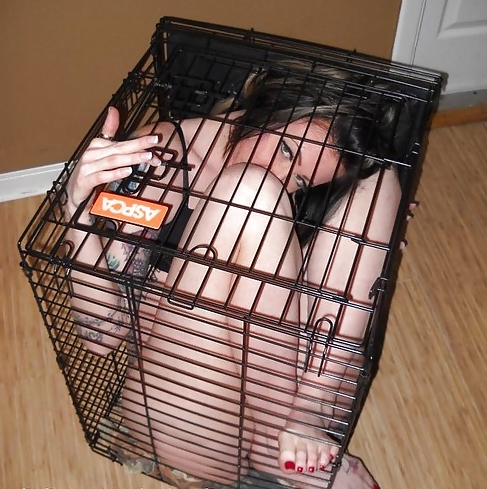 BDSM Institute unconfortable cage #21504258