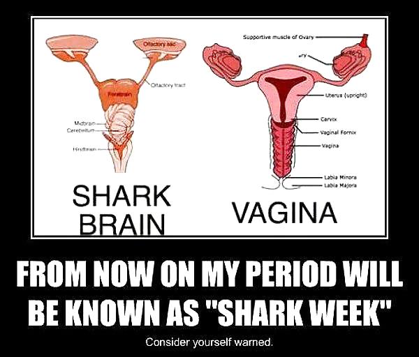 SIC Humor # 7 #18535008