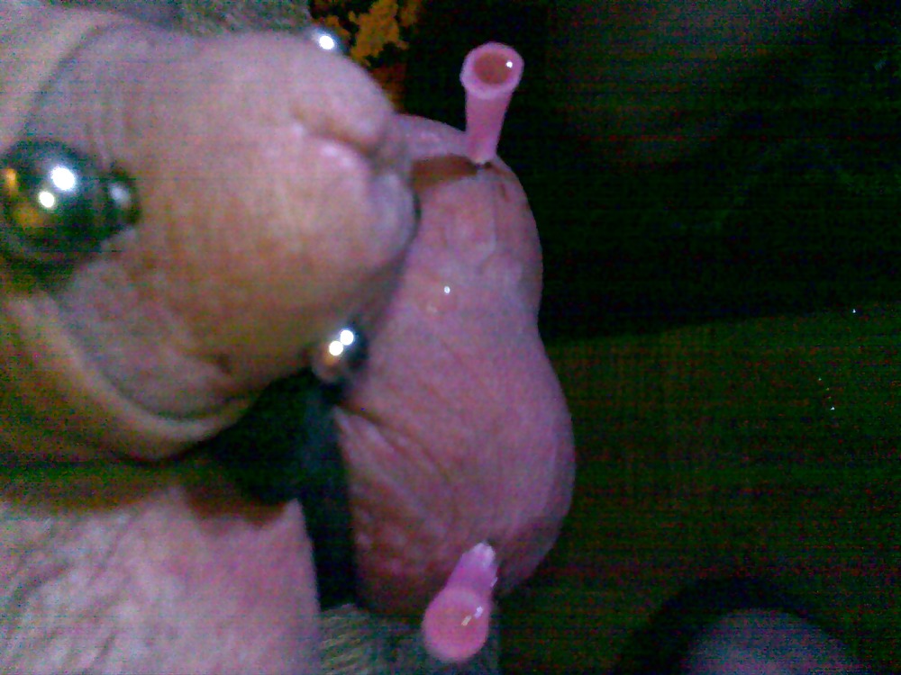 Penis piercing #1597231