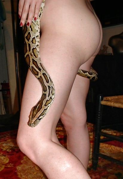 Hermosa chica con una serpiente
 #6529089