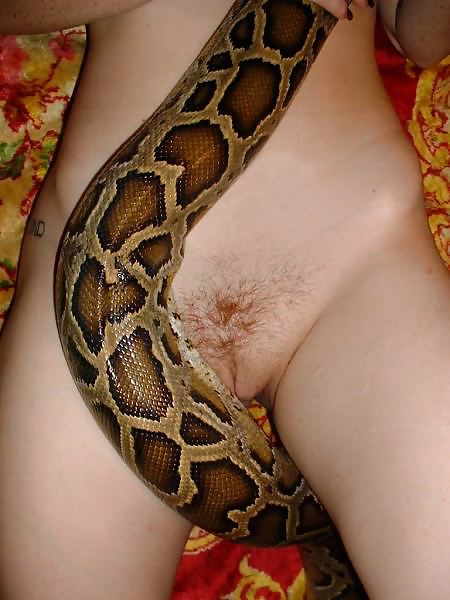 Hermosa chica con una serpiente
 #6529127