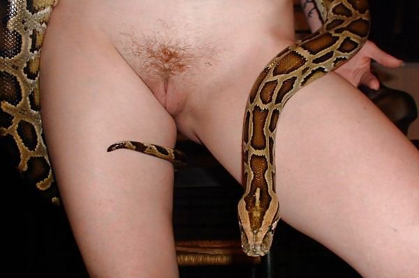 Hermosa chica con una serpiente
 #6529132