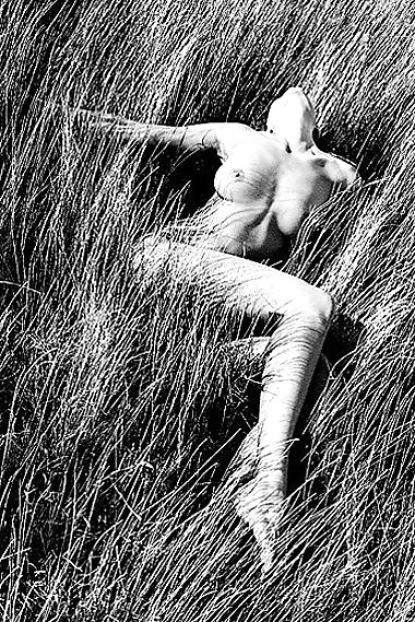 Nude Photo Art 9 - Gavin Oneill #5864079