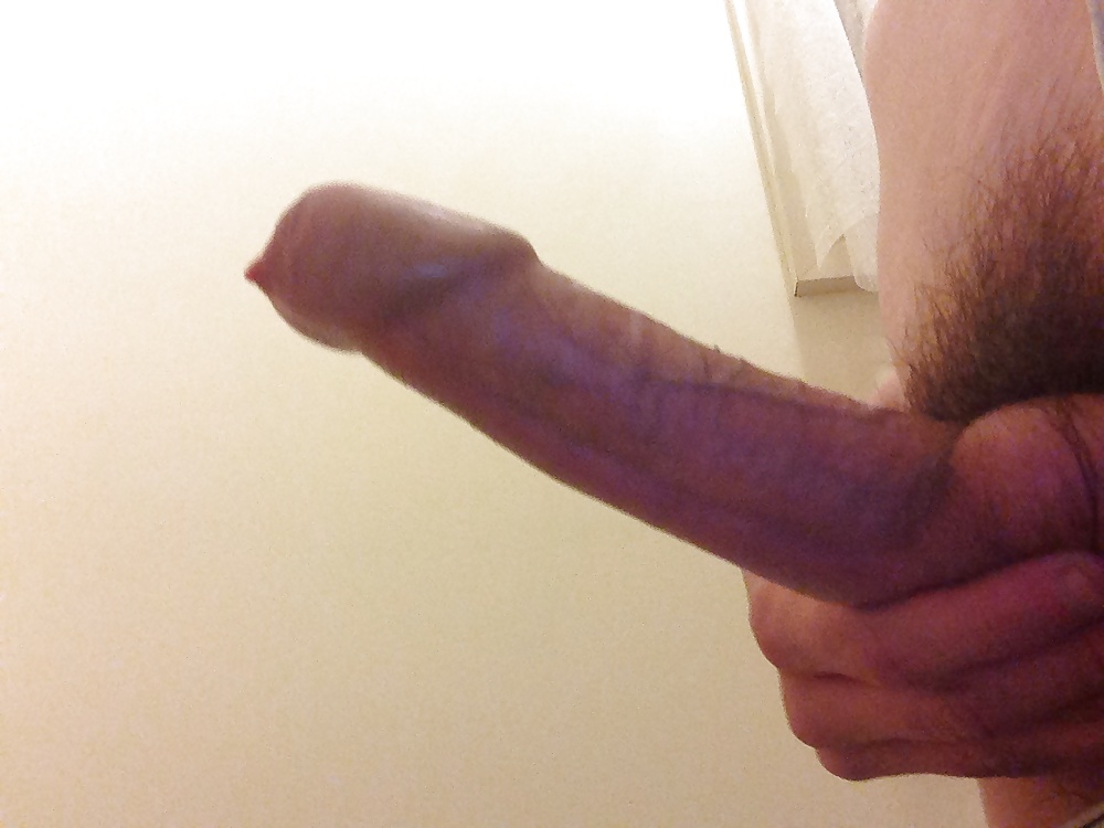 Another cock pic of my bro #17450741