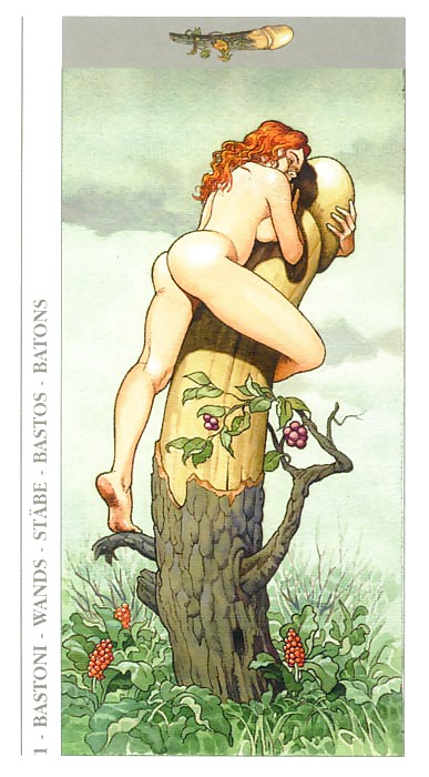 Erotische Spielkarten 13 - Tarot Decamerone #16923627