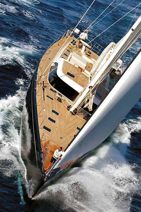 The queen of the enviornment