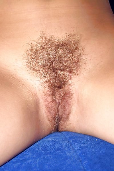 Hairy 02 #5815750