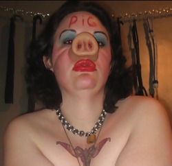 BDSM 02 fat pigs #12135133