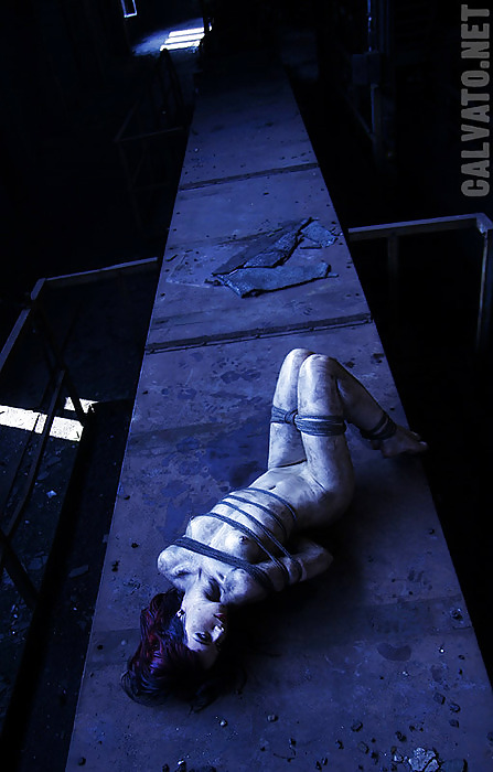 Cosas que nos gustan
 #19430142