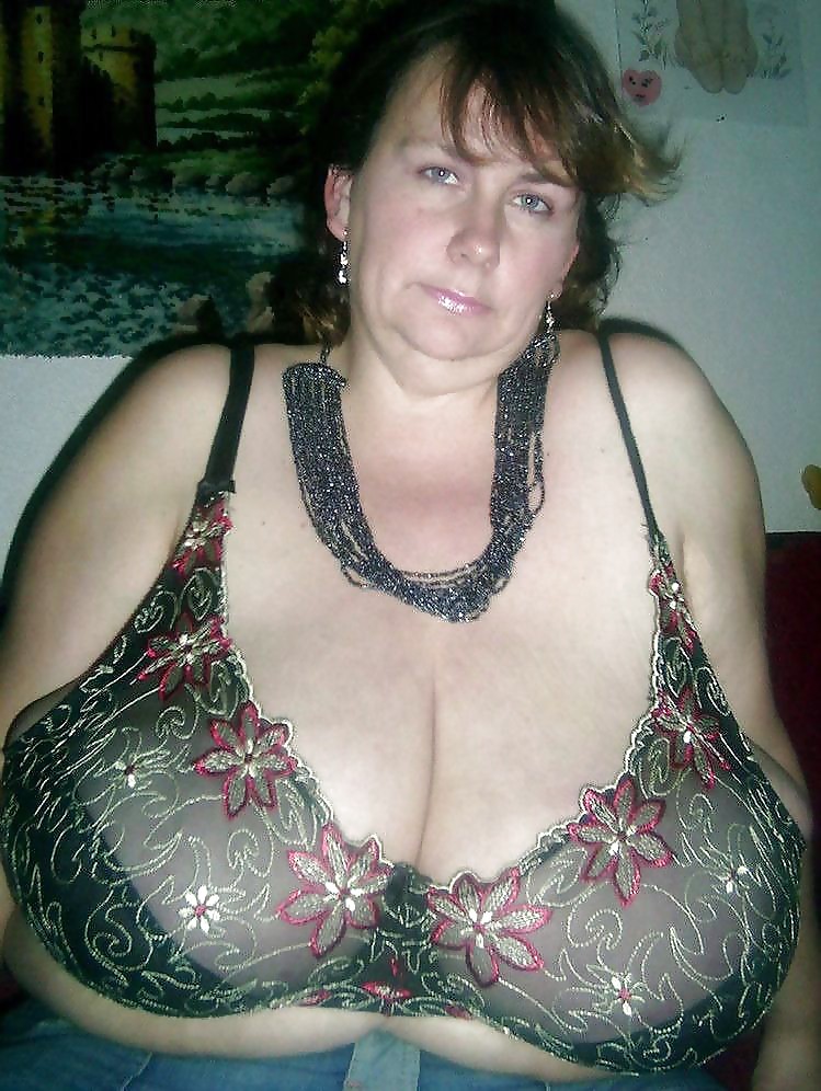 Milfs Und Gilfs Teil Vii #14372281