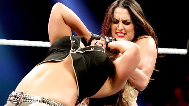 The Bella Twins (Nikki and Brie) WWE Divas mega collection 2 #18384517