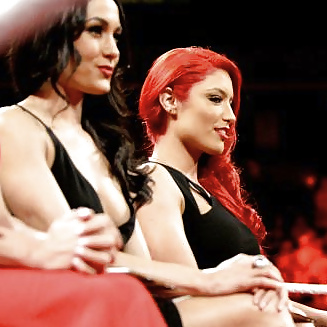 Bella Twins (Nikki and brie) WWE divas mega collection 2
 #18384546