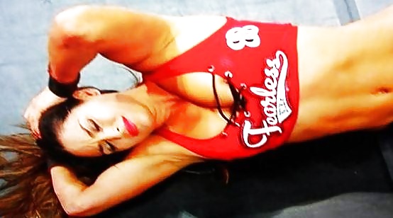 Le gemelle bella (nikki e brie) wwe divas mega collezione 2
 #18384564